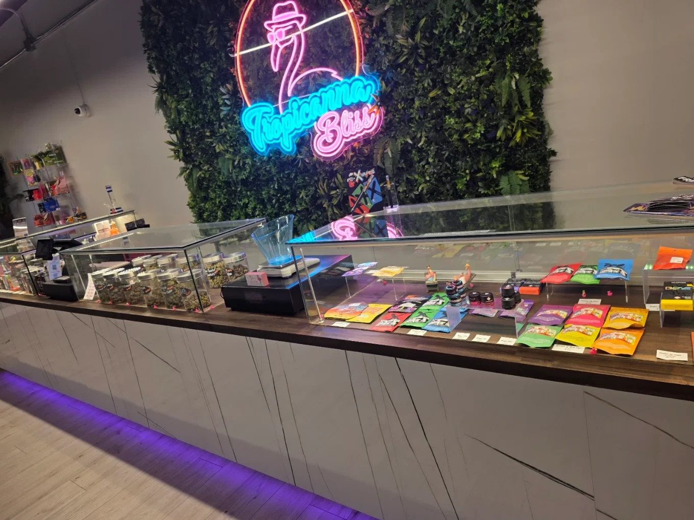 Inside Tropicanna Bliss Colorado Springs